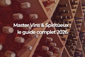 Master Vins & Spiritueux : le guide complet 2026