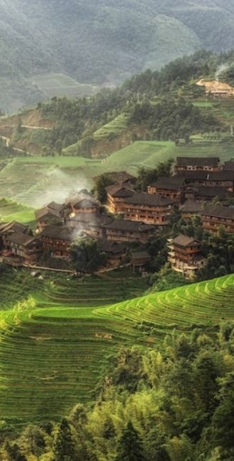 Vignoble en Asie