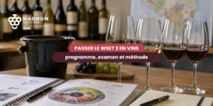 Comment passer le WSET 2 en vins : formation et dégustation dans un centre agréé WSET