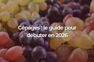 Cépage : définition, familles et guide pour débuter
