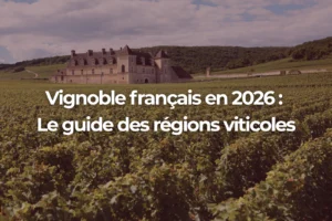 Vignoble français en 2026 : le guide des régions viticoles